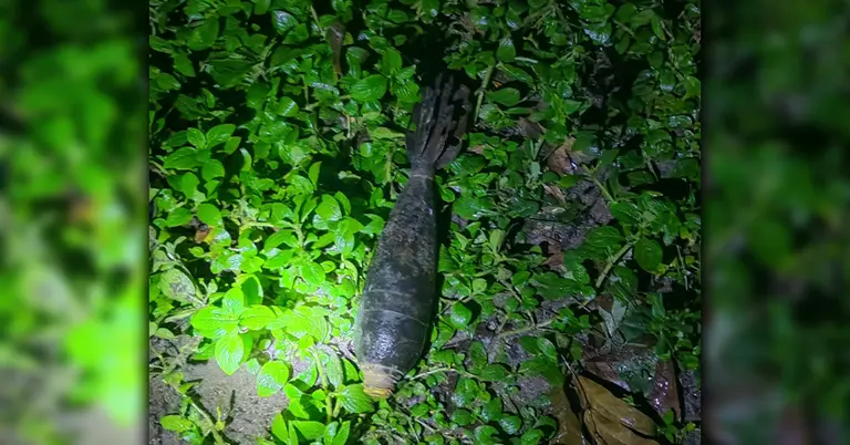 উদ্ধারকৃত মর্টার শেল